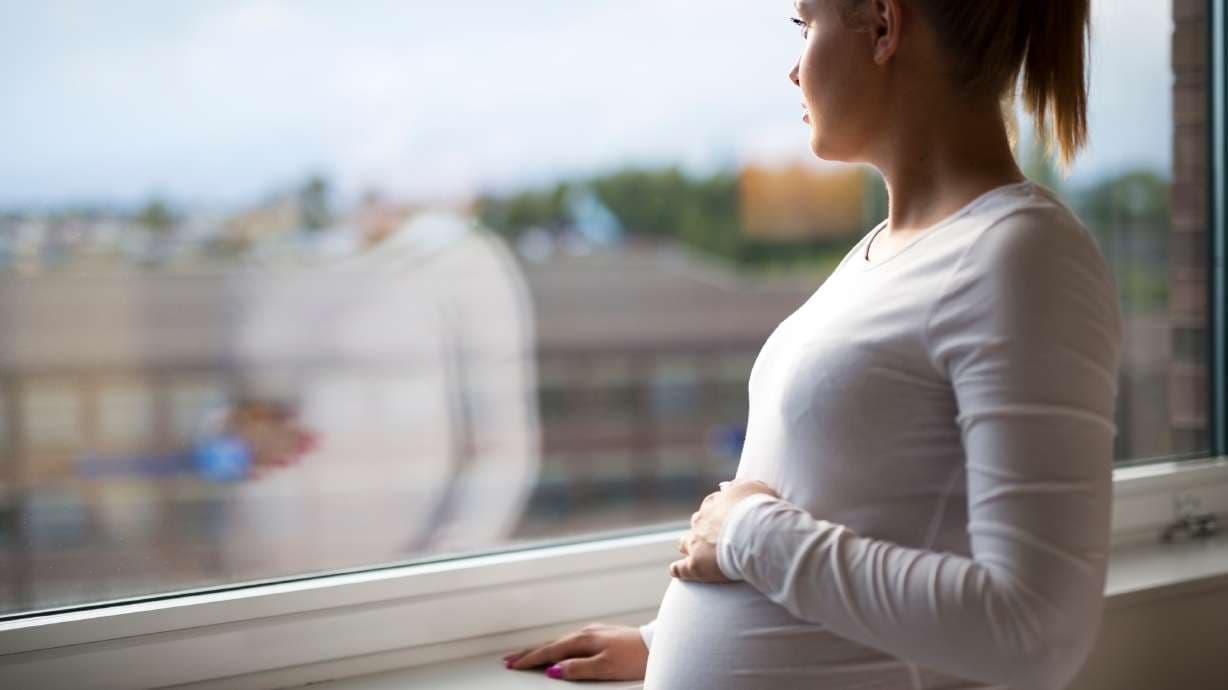 Pregnancy Assistance Programs: A Practical Overview of Maternity Support and Government Benefits for New Parents