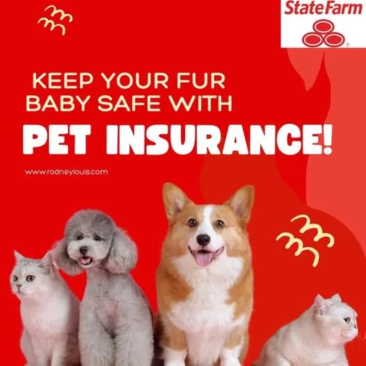 A Thoughtful 2026 Guide to Choosing the Right Pet Insurance for Dogs & Cats: Smarter Coverage, Real Costs, and Confident Decisions for U.S. Pet Owners