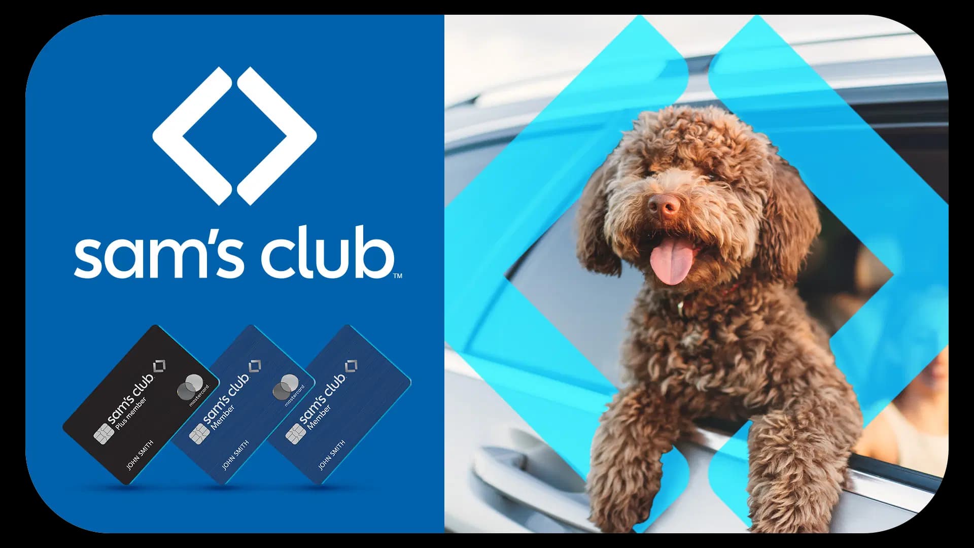 Sam’s Club Pet Insurance: A Practical Guide to a New Member Perk for Your Pets